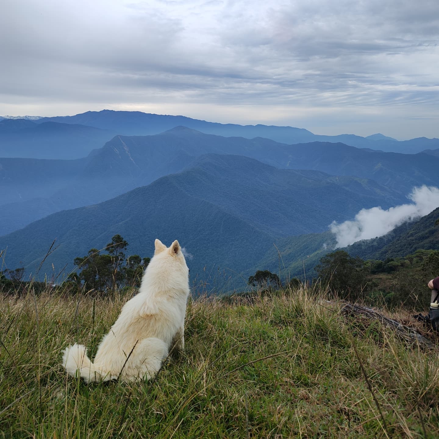 bunkuany-cerro-keneddy-8